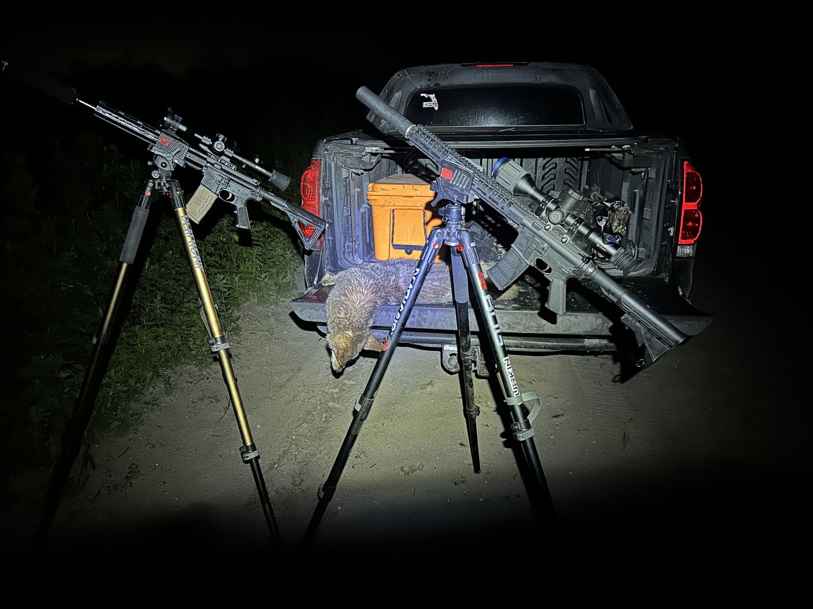 Coyote harvest tailgate