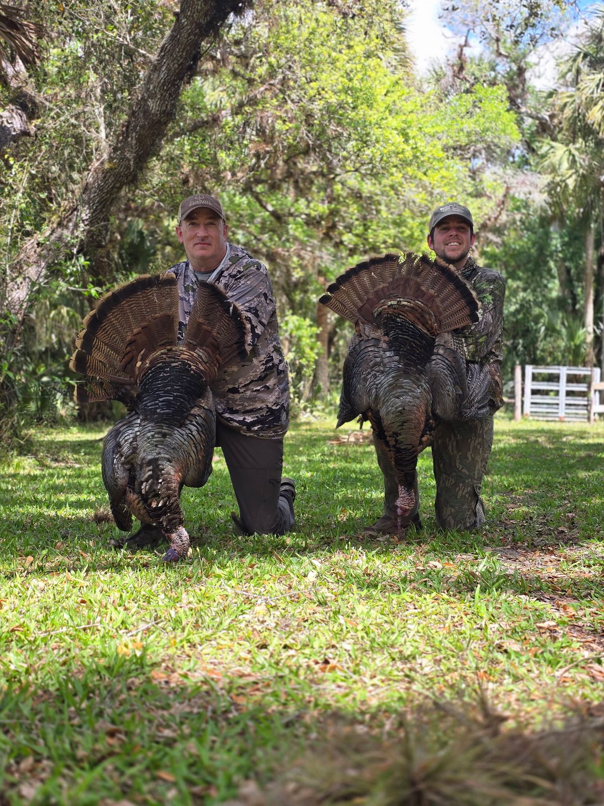 Double turkey harvest